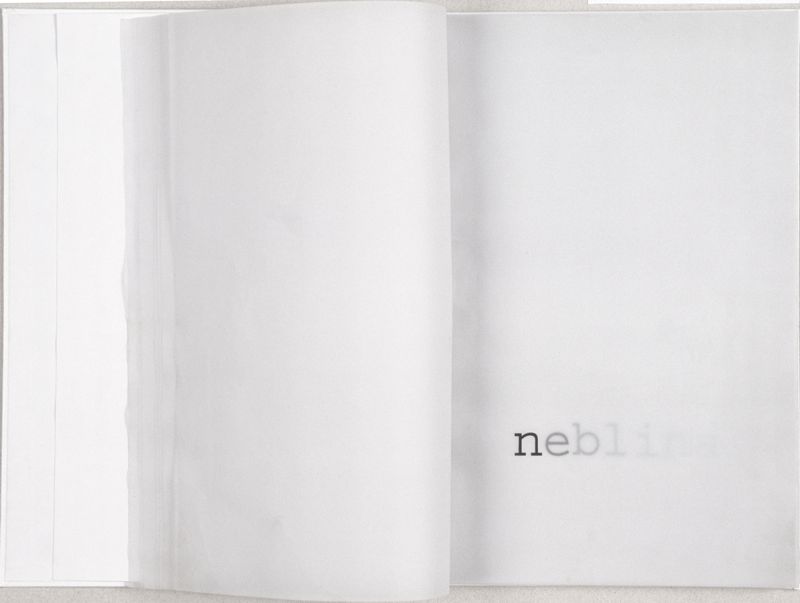 "Neblina - Livro de Artista", Roberto Freitas, 2003, Florianópolis/SC, livro de artista - impressão a laser, 29,1 x 20,4 x 1,5 cm