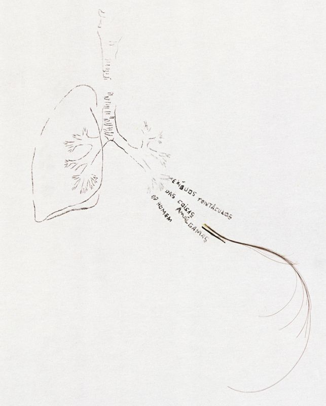 "Exíguos Tentáculos?", Herbert Rolim, 2002, Fortaleza/CE, nanquim e cabelo sobre papel de arroz, 63,5 x 94 cm